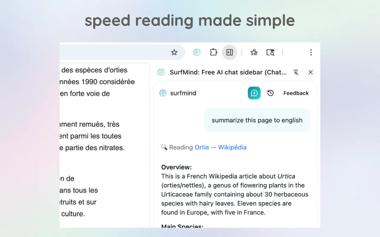 Screenshot 2 of SurfMind
