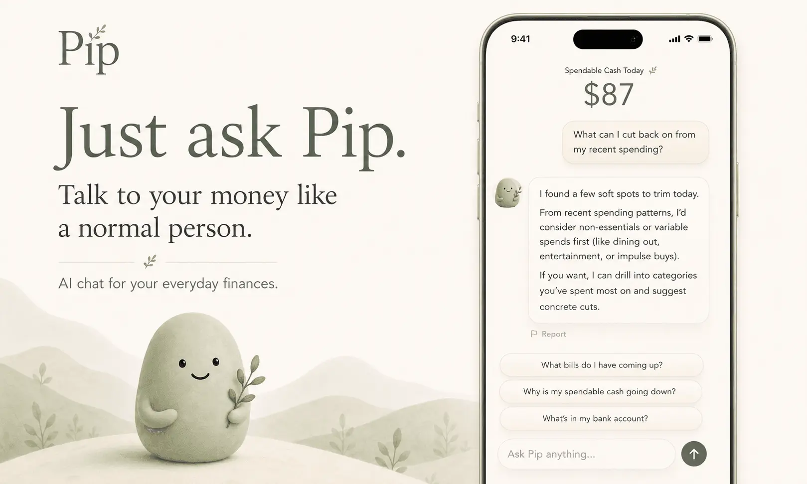 Screenshot 4 of Pip