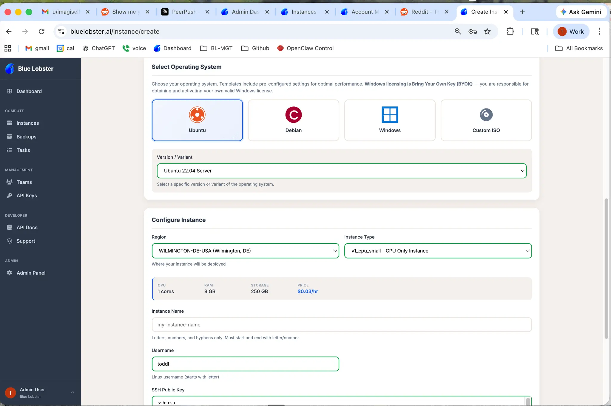 Screenshot 5 of bluelobster.ai - GPU VPS Simplified