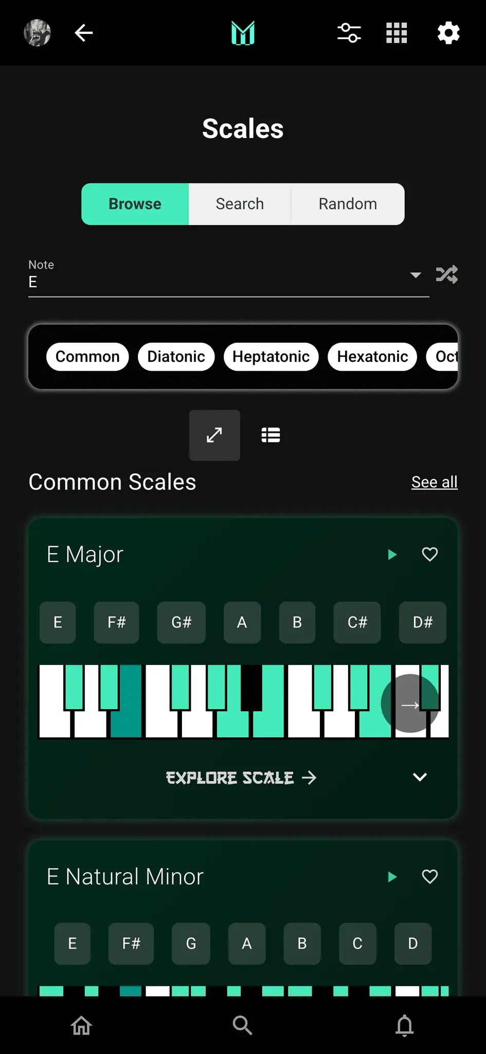 Screenshot 1 of Melodic Mind