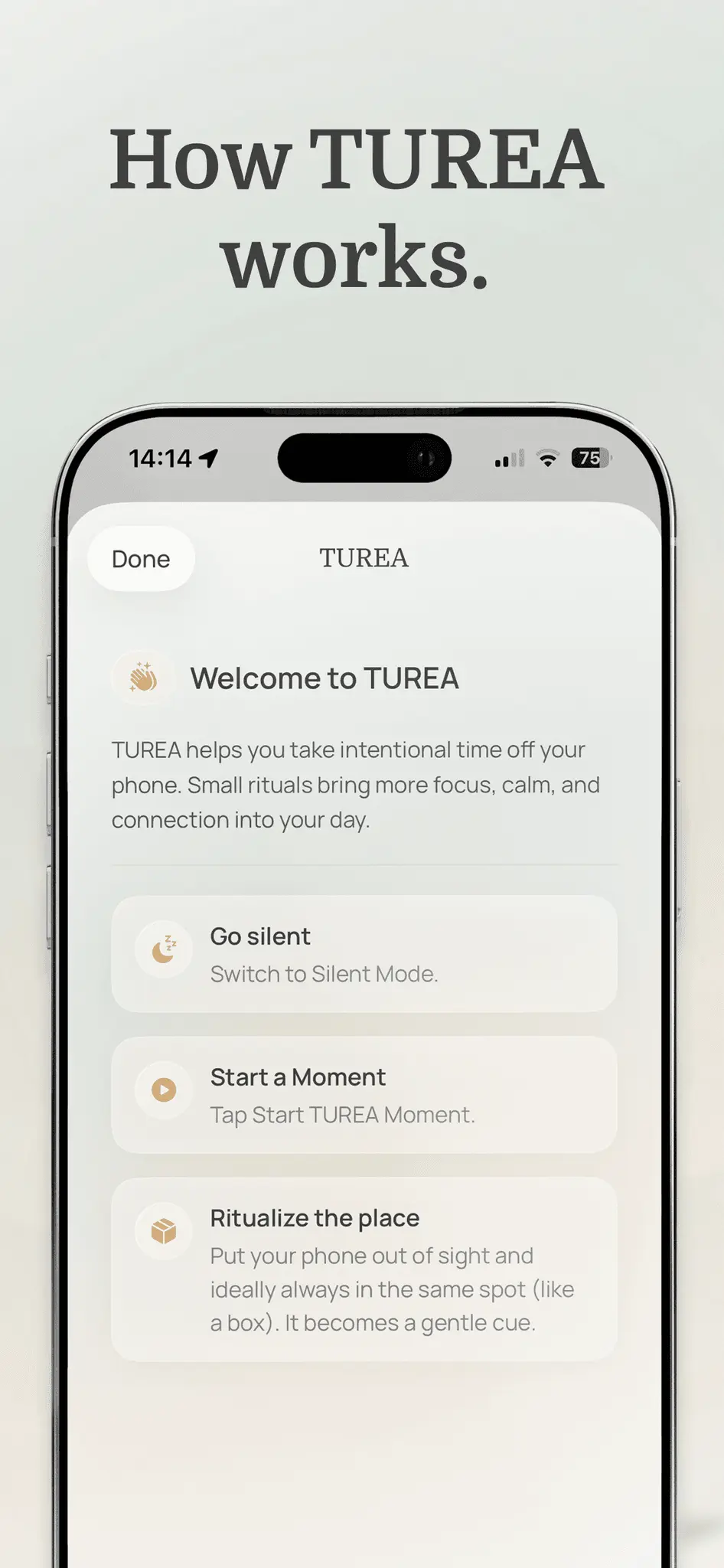 Screenshot 3 of TUREA