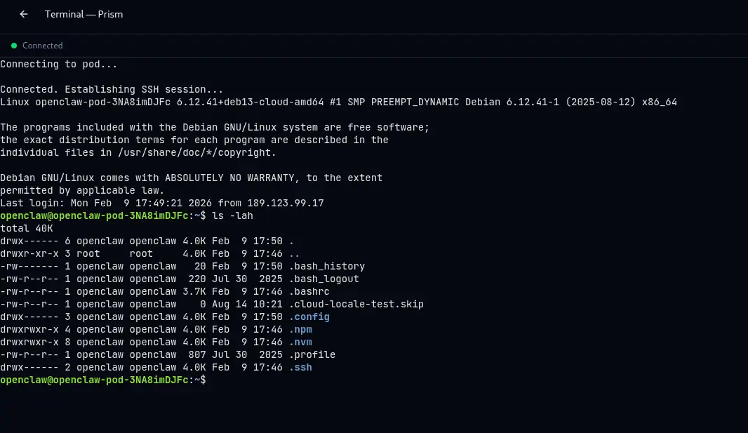 Screenshot 2 of BestClaw Host