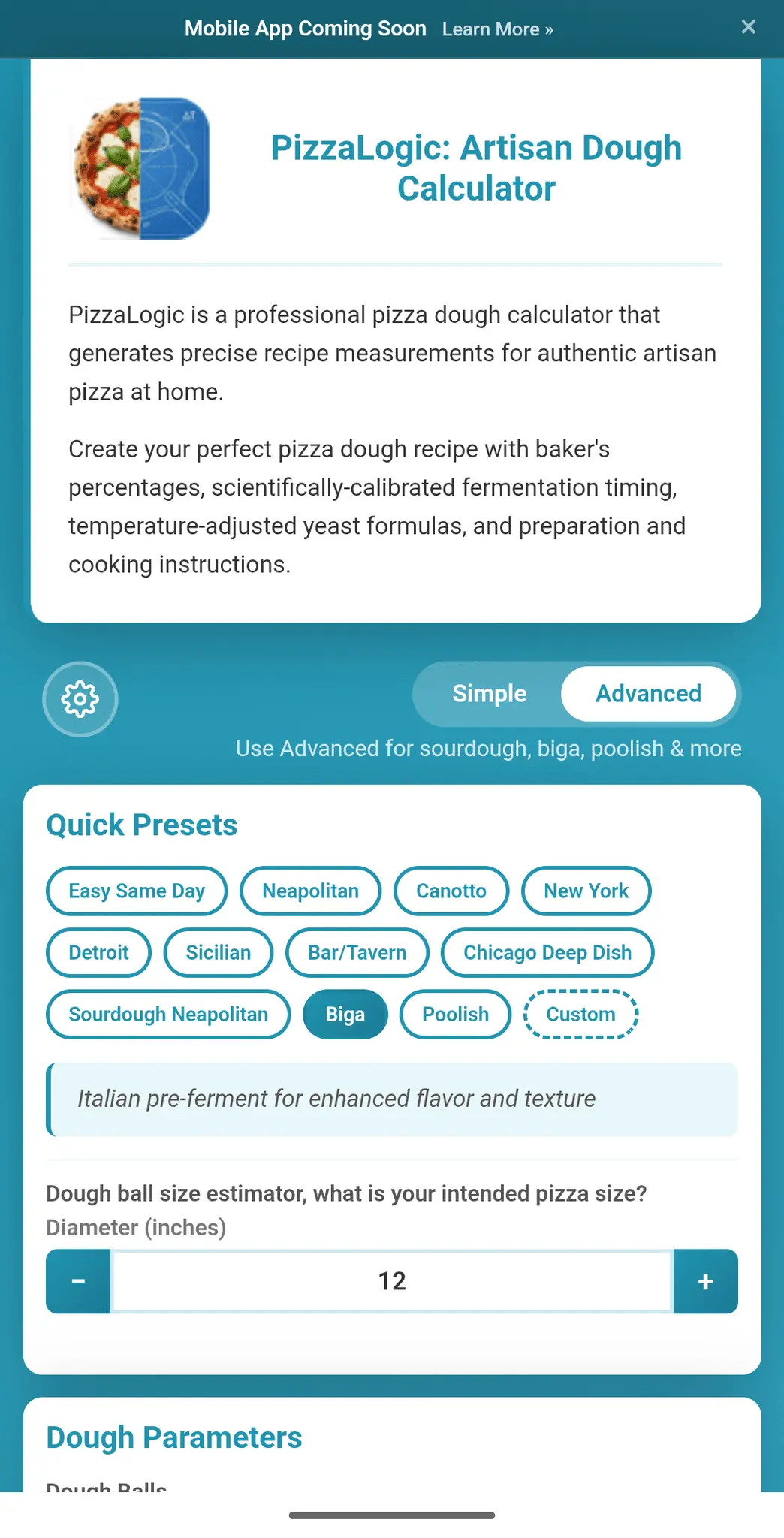 Screenshot 1 of PizzaLogic
