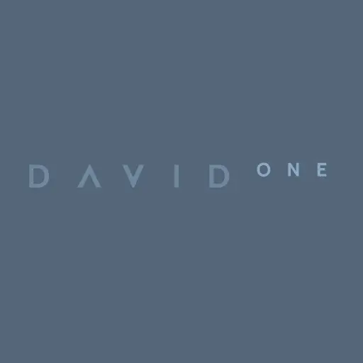 DavidOne