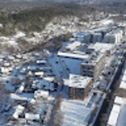 markutininkai