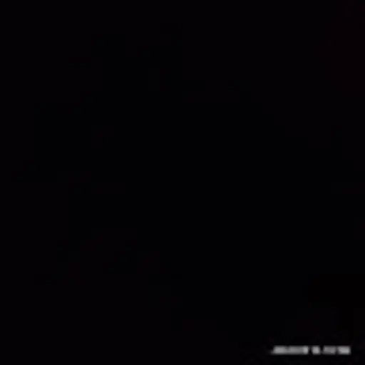 jainnimit728