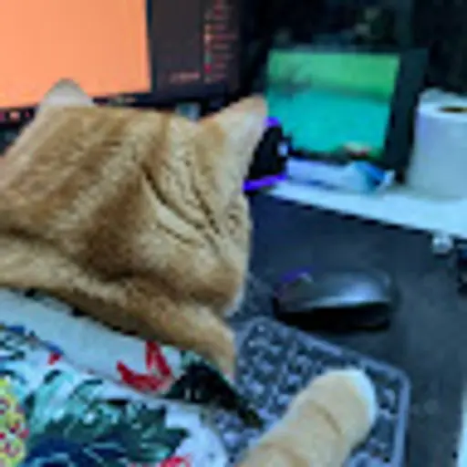 ngqunghuy