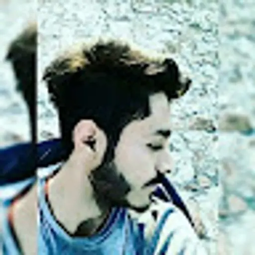 sharanjitdotsingh