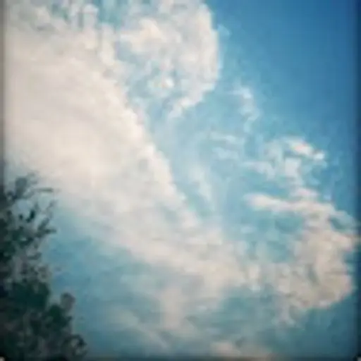 ayanminhasshayar