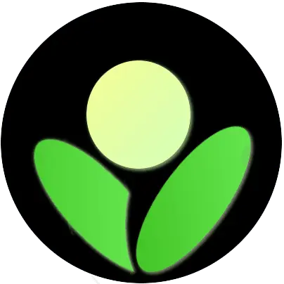 Betula  Assistant 