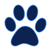 Rover AI