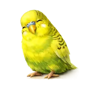 Tired Budgie