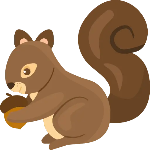 Squirrel