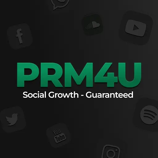 PRM4U SMM Panel