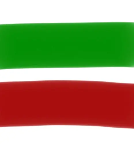 Pinionate