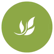 Mindful Family
