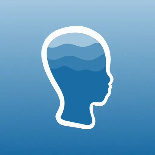 Cognitive Diary