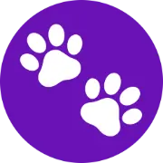 Petshot Pro - AI Pet Portrait Generator