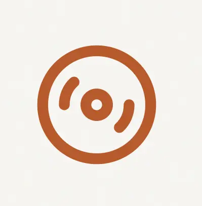 VinylVault