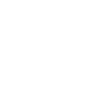 LLM Automatic Translation