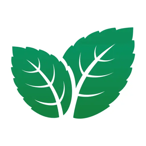 MintSlip Paystub Generator