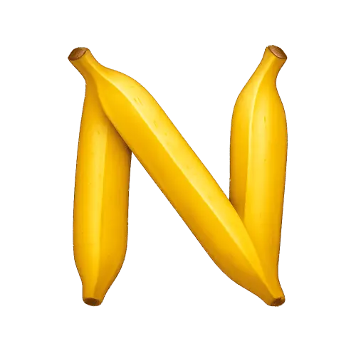 NanoImg