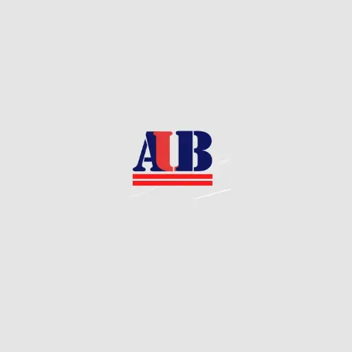  American University of Business and Soc